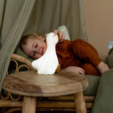 Nachtlicht | Little Goose