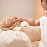 Kuscheltier - Schildkröte