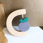 Slide image