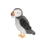 Iron-on transfer | Puffin