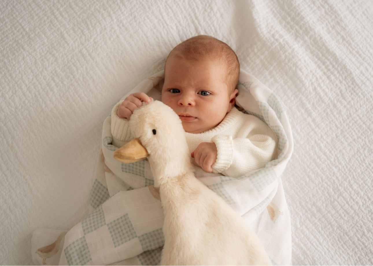 KUSCHELTIER | POP YA TOT Gans