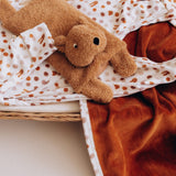 Wärmekissen Teddy
